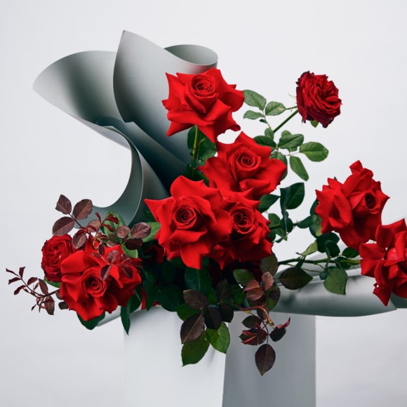 trueredroses